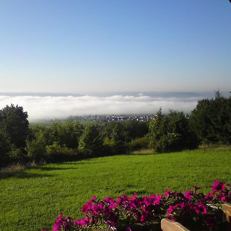 אוסטריך-ווינקל Zum Rebhang Bed & Breakfast מראה חיצוני תמונה