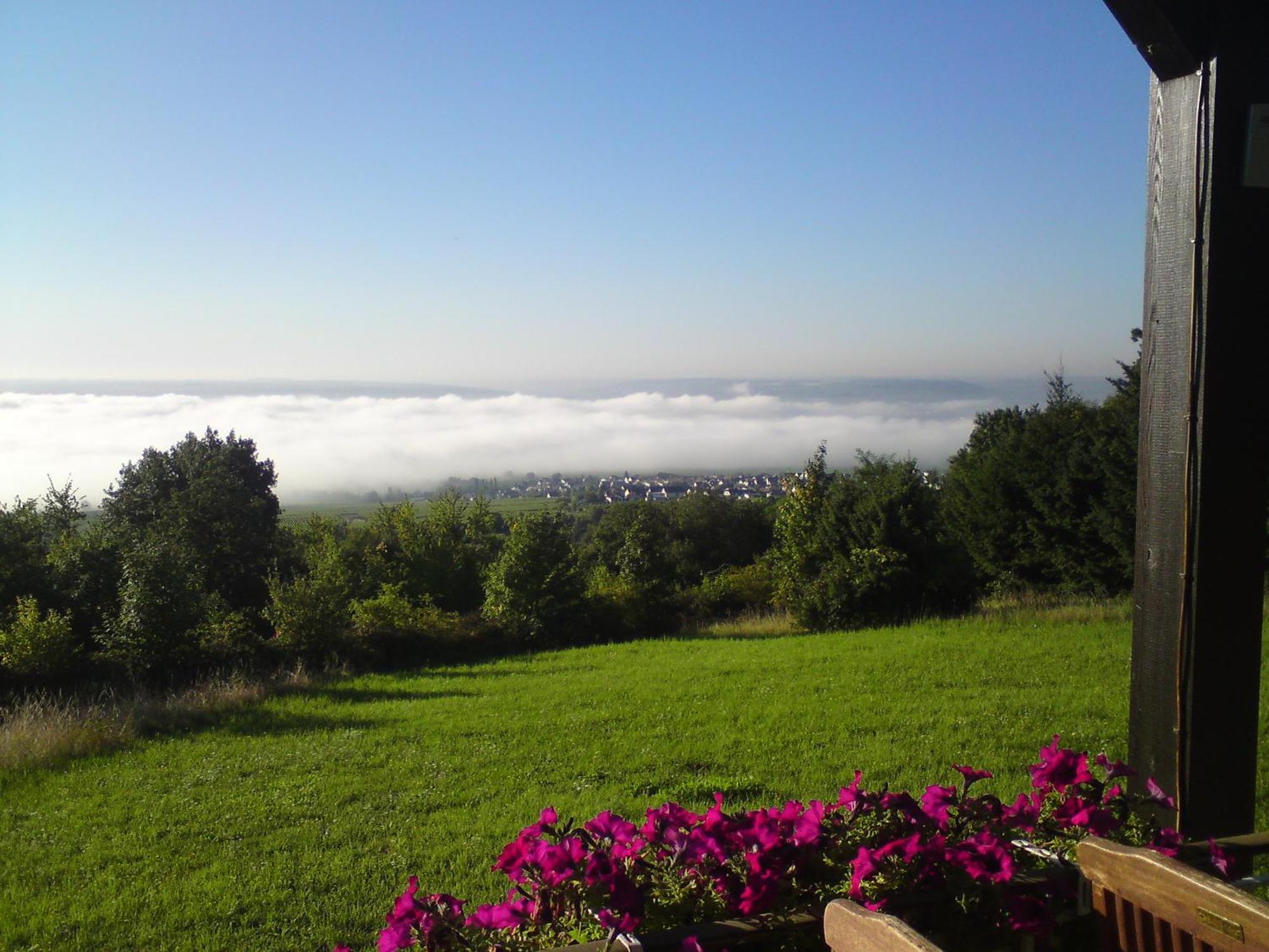 אוסטריך-ווינקל Zum Rebhang Bed & Breakfast מראה חיצוני תמונה